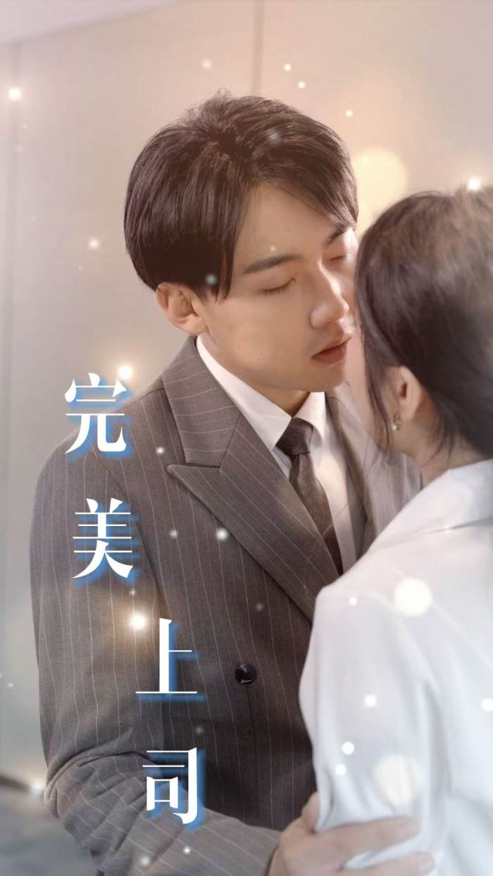 《完美上司》完整版在线观看