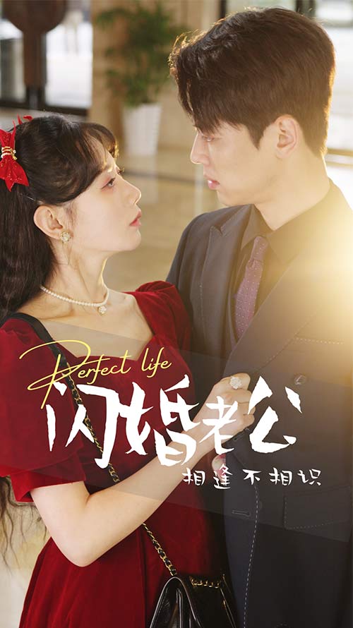 《闪婚老公相逢不相识》完整版在线观看