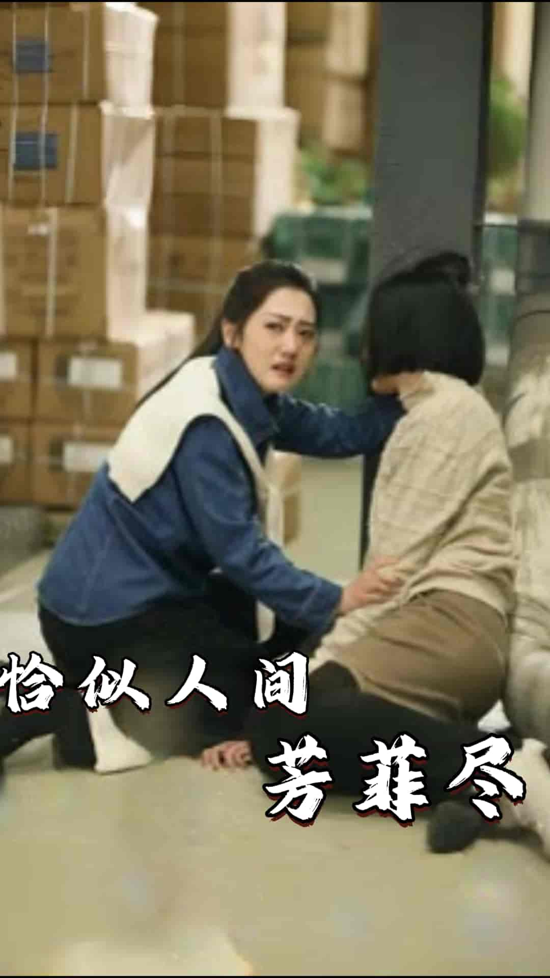 《恰似人间芳菲尽》完整版在线观看