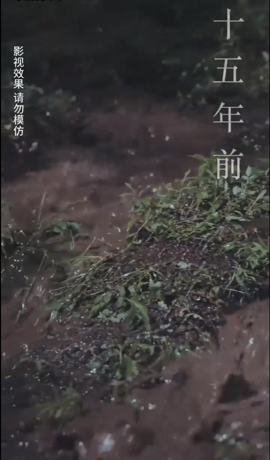 《云深见朝阳》完整版在线观看