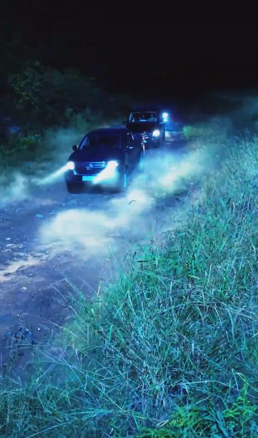 《永生齐天》完整版在线观看