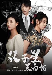 《双子星黑白切》完整版在线观看