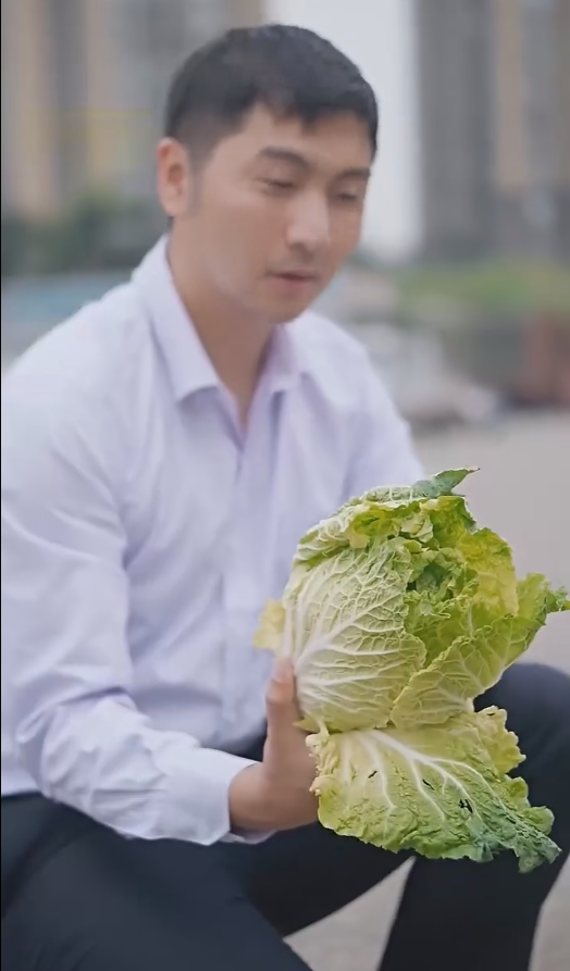 《股王废婿》完整版在线观看