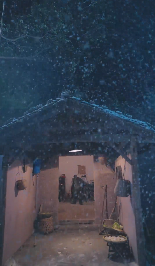 《春雪落无声》完整版在线观看