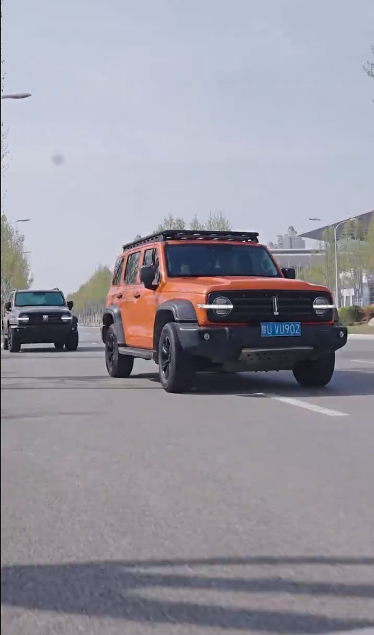 《最新版：君临》完整版在线观看