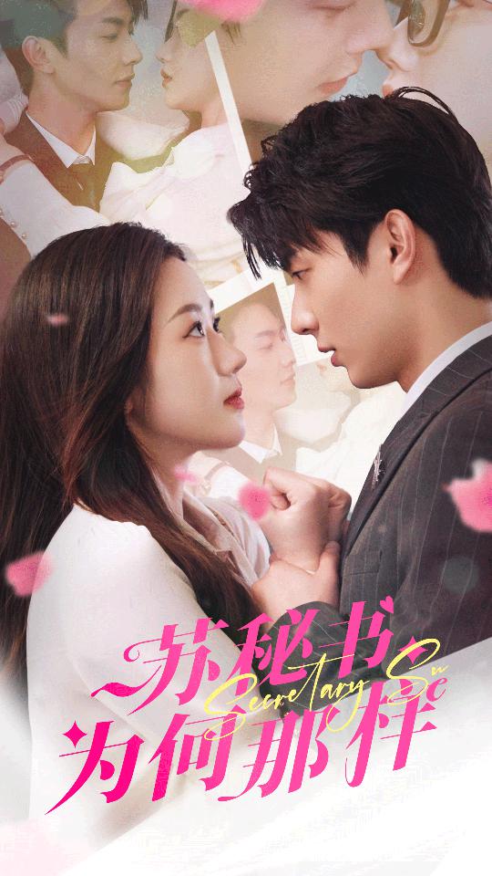 《苏秘书为何那样》完整版在线观看