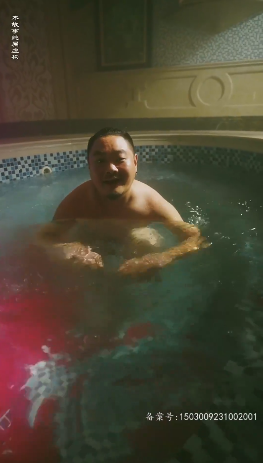 《特工凤凰》完整版在线观看