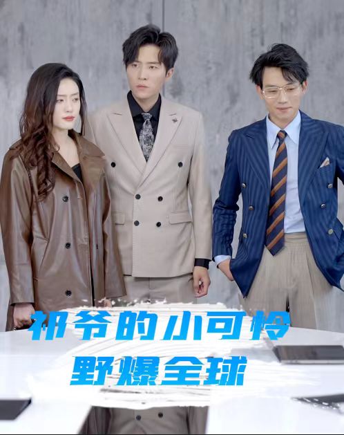 《祁爷的小可怜野爆全球》完整版在线观看