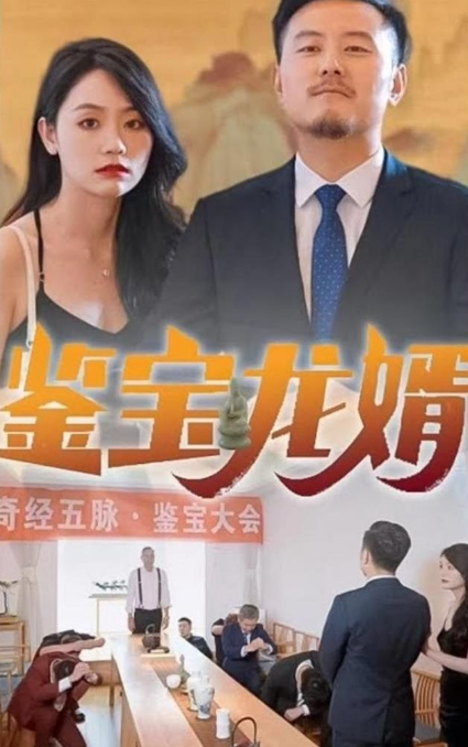 《鉴宝龙婿》完整版在线观看