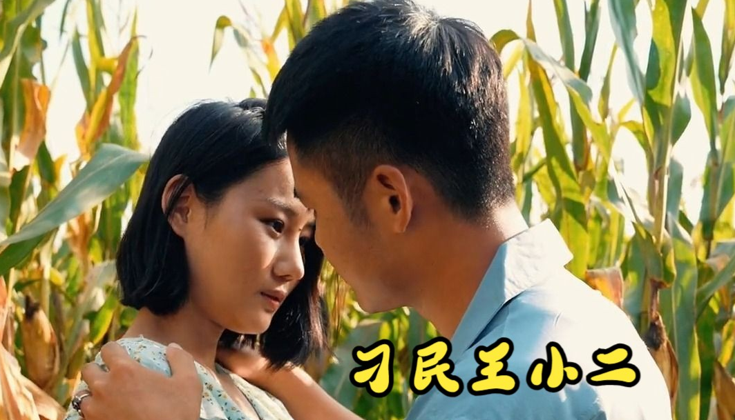 《刁民王小二》完整版在线观看