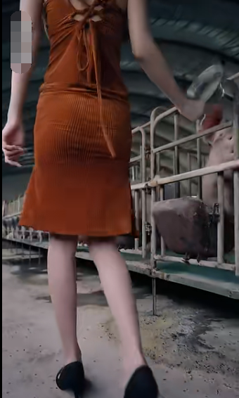 《未来日记短剧》完整版在线观看