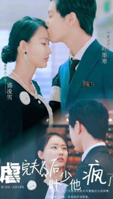 《虐完夫人后叶少他疯了》完整版在线观看