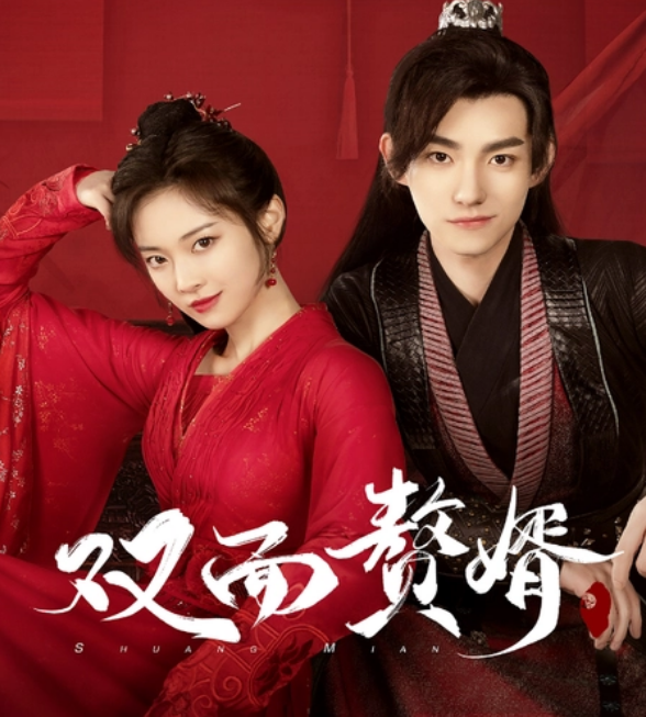 《双面赘婿不好惹》完整版在线观看