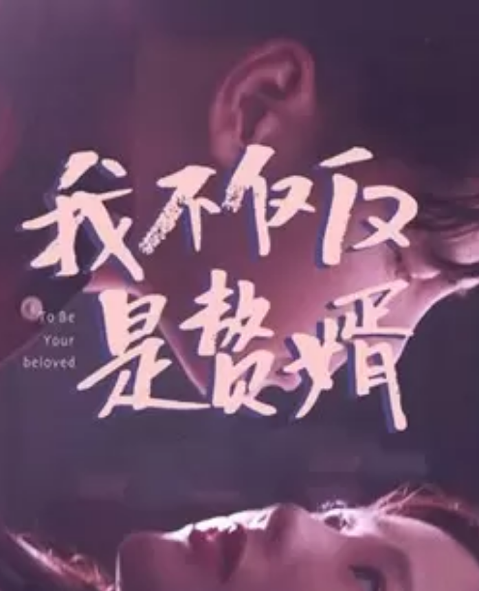 《我不仅仅是赘婿》完整版在线观看