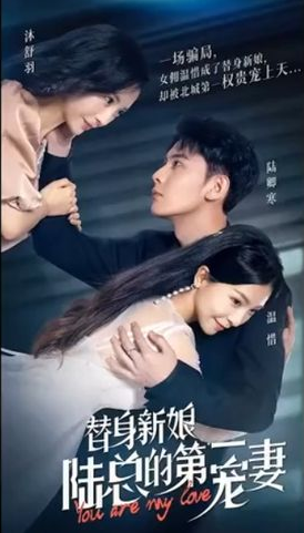 《替身新娘:陆总的第一宠妻》完整版在线观看