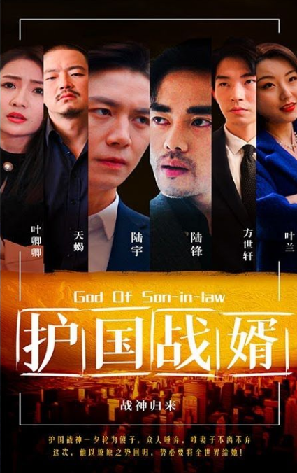 《护国战婿》完整版在线观看