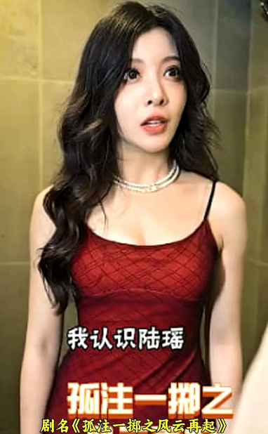 《孤注一掷之风云再起》完整版在线观看