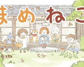 《豆豆猫》完整版在线观看