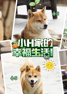 《小H一家》完整版在线观看