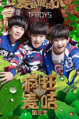 《疯狂的麦咭第三季》完整版在线观看