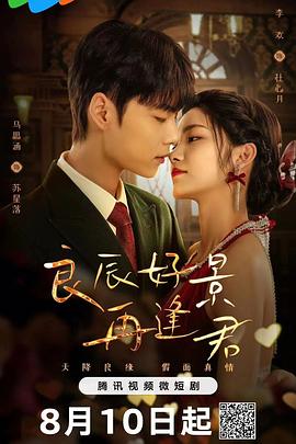 《良辰好景再逢君》完整版在线观看