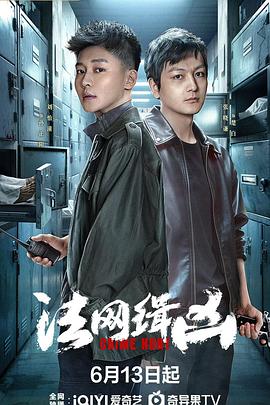 《法网缉凶》完整版在线观看