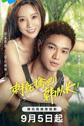 《束手就擒吧！韩队长》完整版在线观看