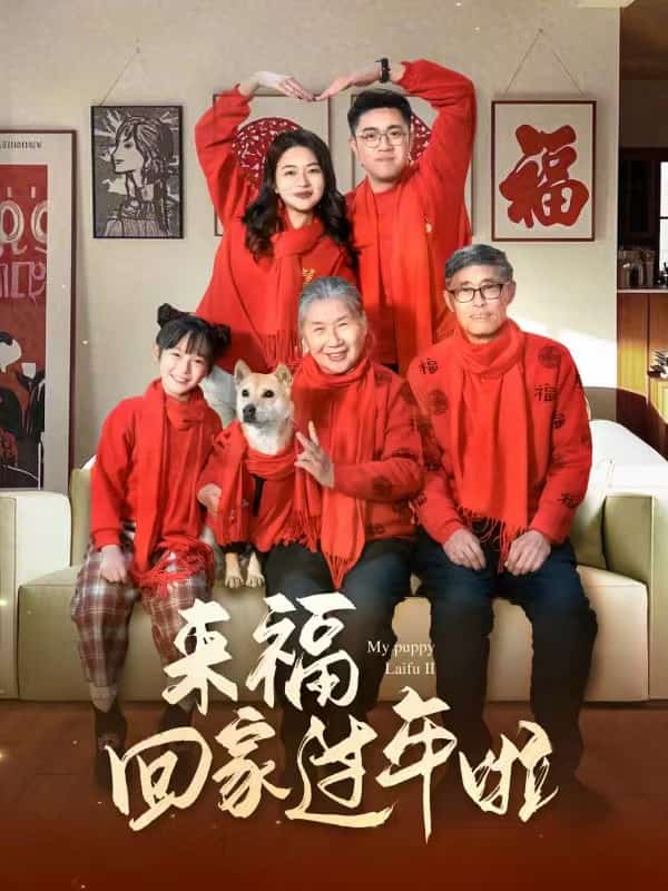 《来福回家过年啦》完整版在线观看