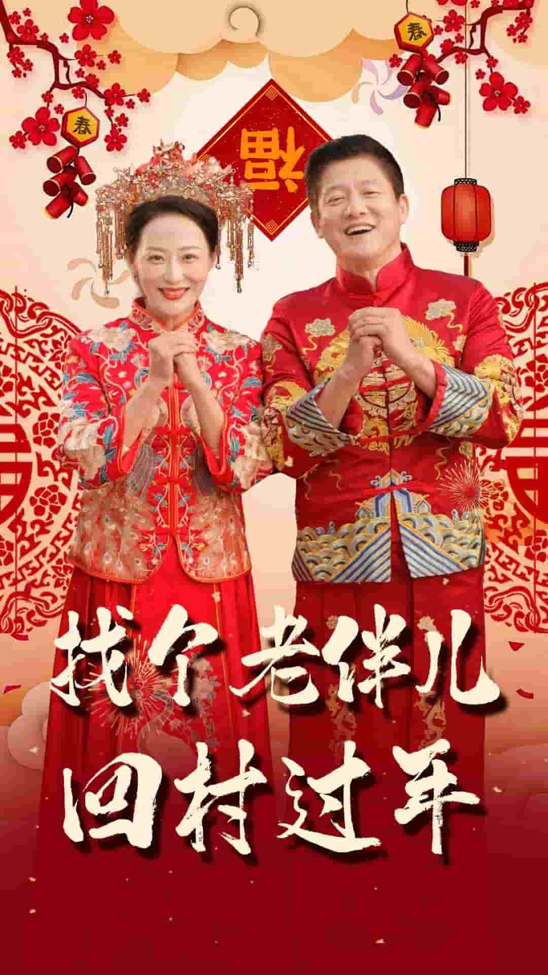 《找个老伴儿回村过年》完整版在线观看