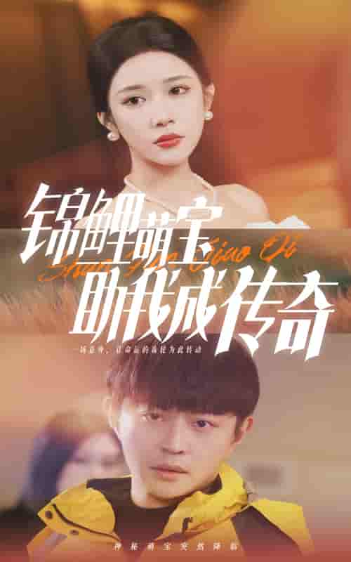 《锦鲤萌宝助我成传奇》完整版在线观看