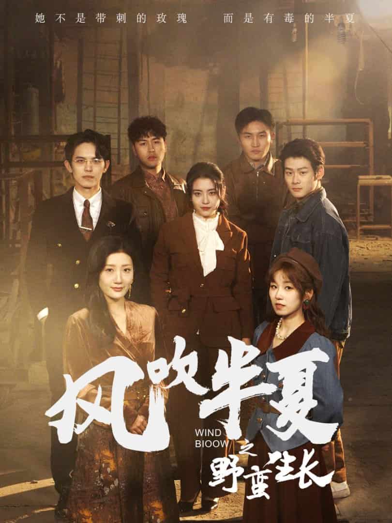 《风吹半夏之野蛮生长》完整版在线观看