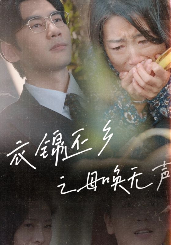 《衣锦还乡之母唤无声》完整版在线观看