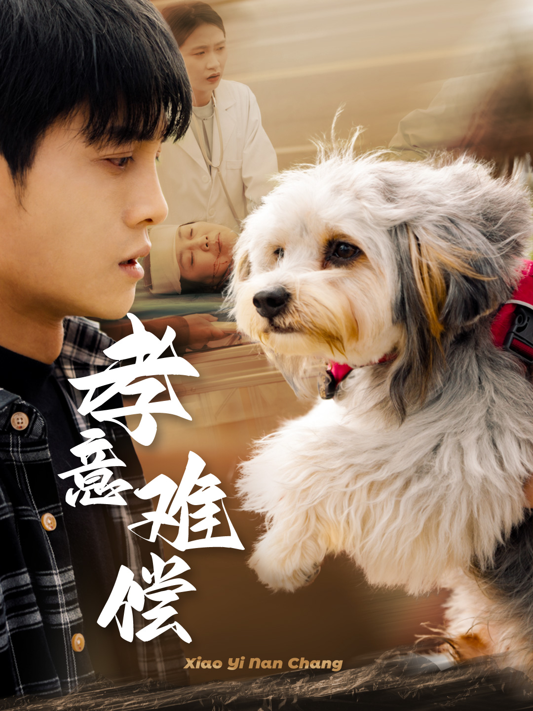 《孝意难偿》完整版在线观看