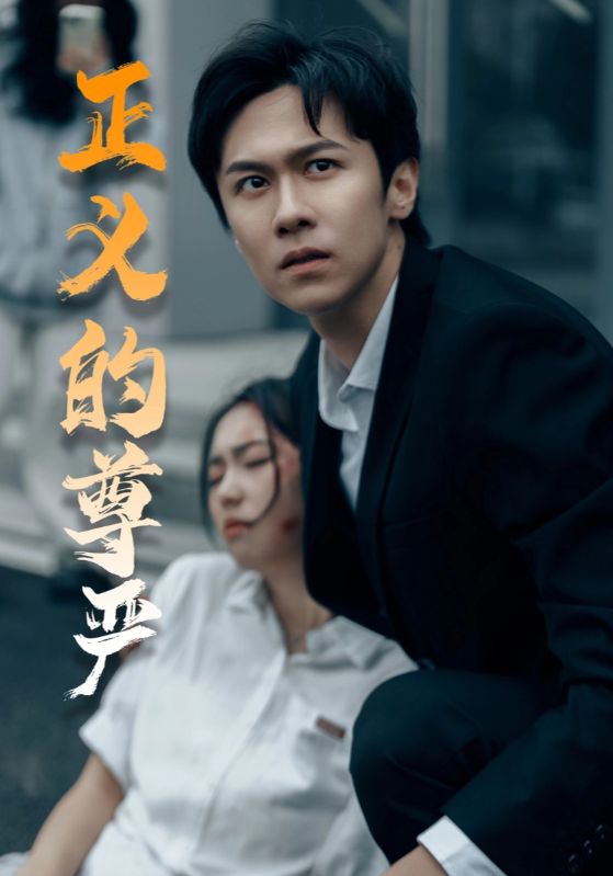 《正义的尊严》完整版在线观看