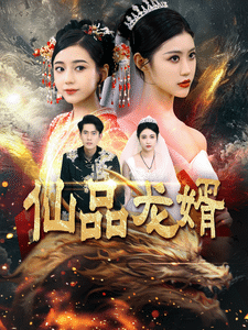 《仙品龙婿》完整版在线观看