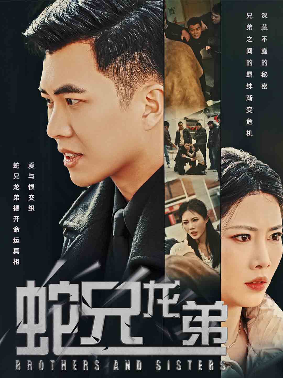 《蛇兄龙弟》完整版在线观看