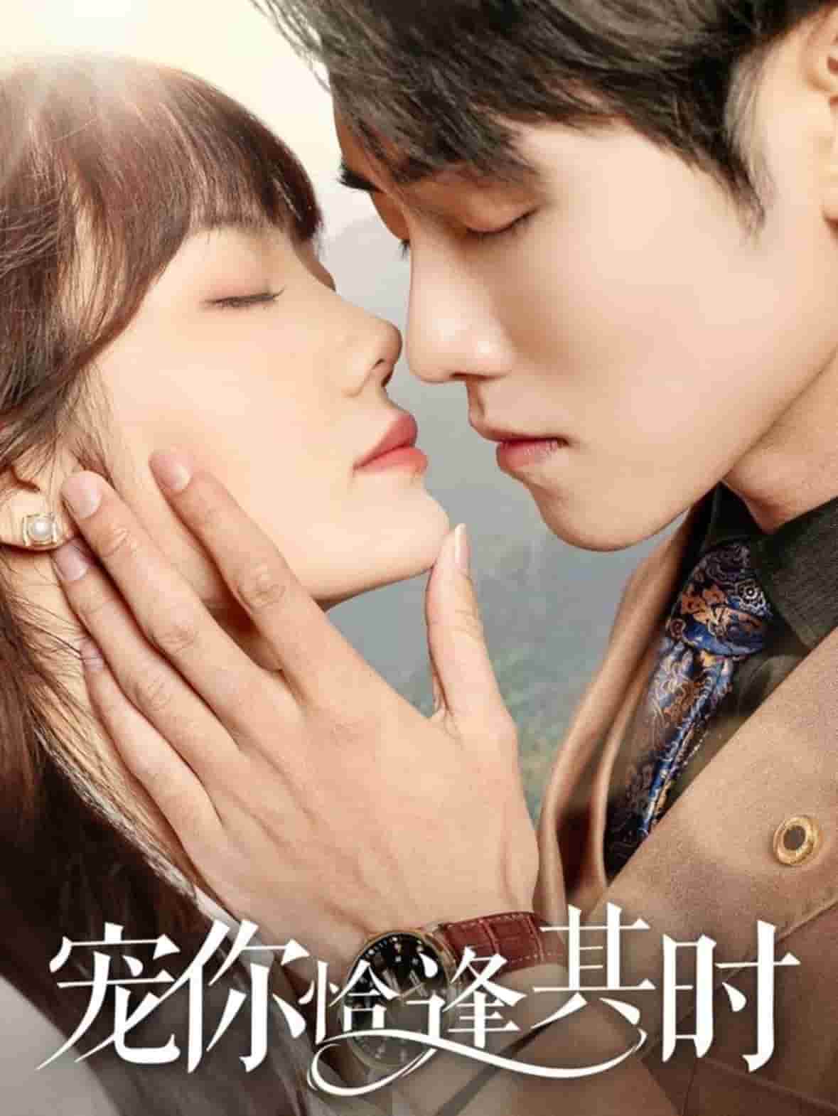 《宠你恰逢其时》完整版在线观看