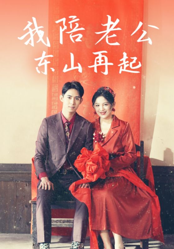 《我陪老公东山再起》完整版在线观看