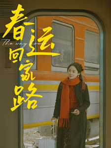 《春运回家路》完整版在线观看