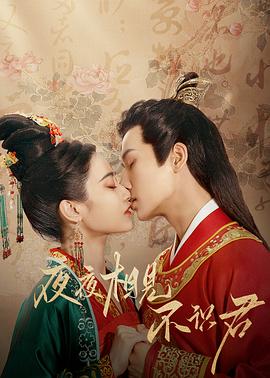 《夜夜相见不识君》完整版在线观看