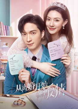 《从离婚开始的爱情》完整版在线观看