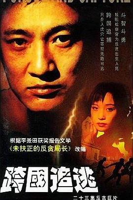 《跨国追逃》完整版在线观看