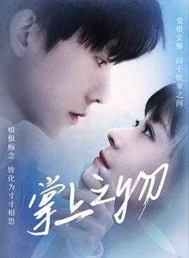 《掌上之物》完整版在线观看