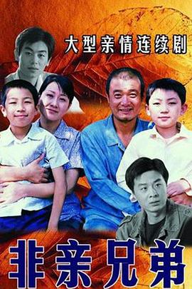 《非亲兄弟》完整版在线观看