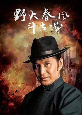 《野火春风斗古城1995》完整版在线观看