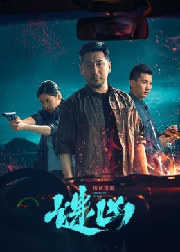 《刑侦档案·谜凶》完整版在线观看