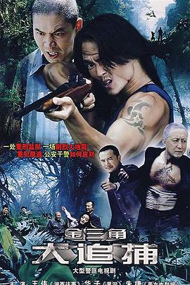 《大追捕2008》完整版在线观看