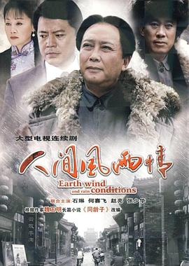 《人间风雨情》完整版在线观看