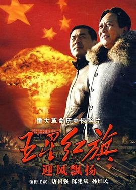 《五星红旗迎风飘扬》完整版在线观看