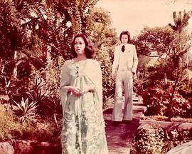 《片断粤语》完整版在线观看